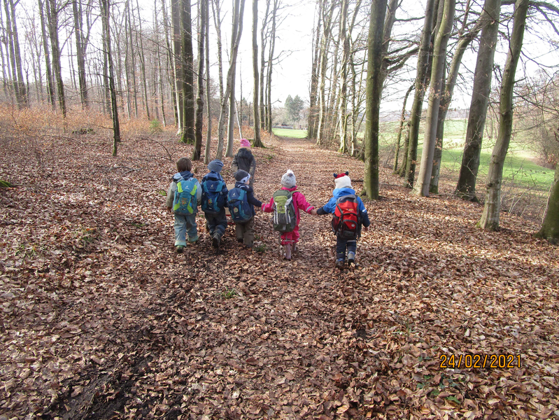 Spielende Kinder des Fuchskinder Naturkindergarten Roßwälden beim Waldspaziergang auf einem mit Laub verdeckten Weg